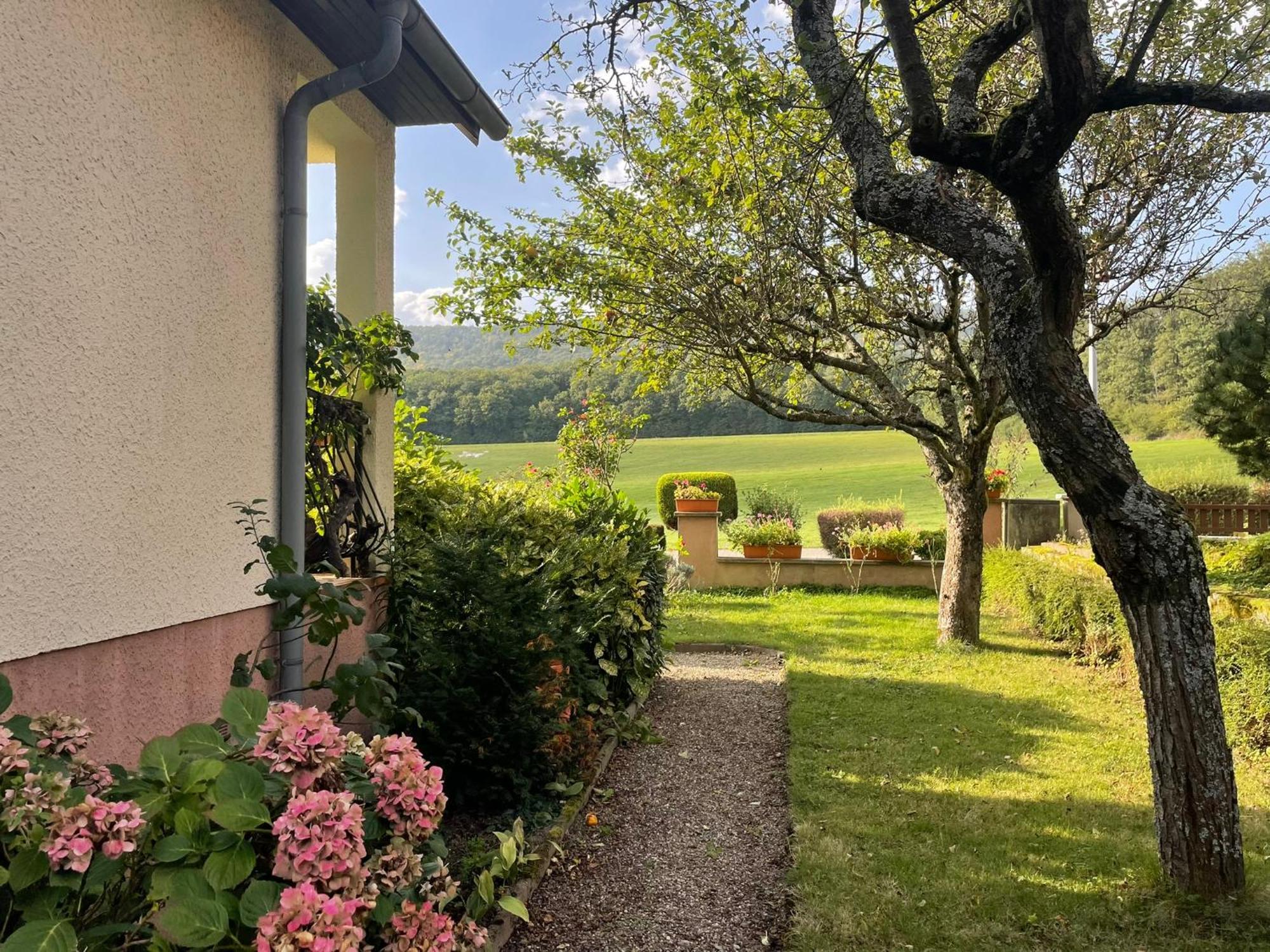 La Maison Des Roses Drachenbronn-Birlenbach Dış mekan fotoğraf