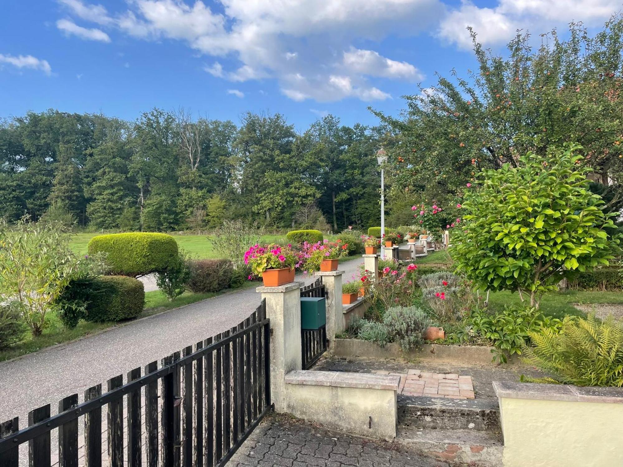 La Maison Des Roses Drachenbronn-Birlenbach Dış mekan fotoğraf