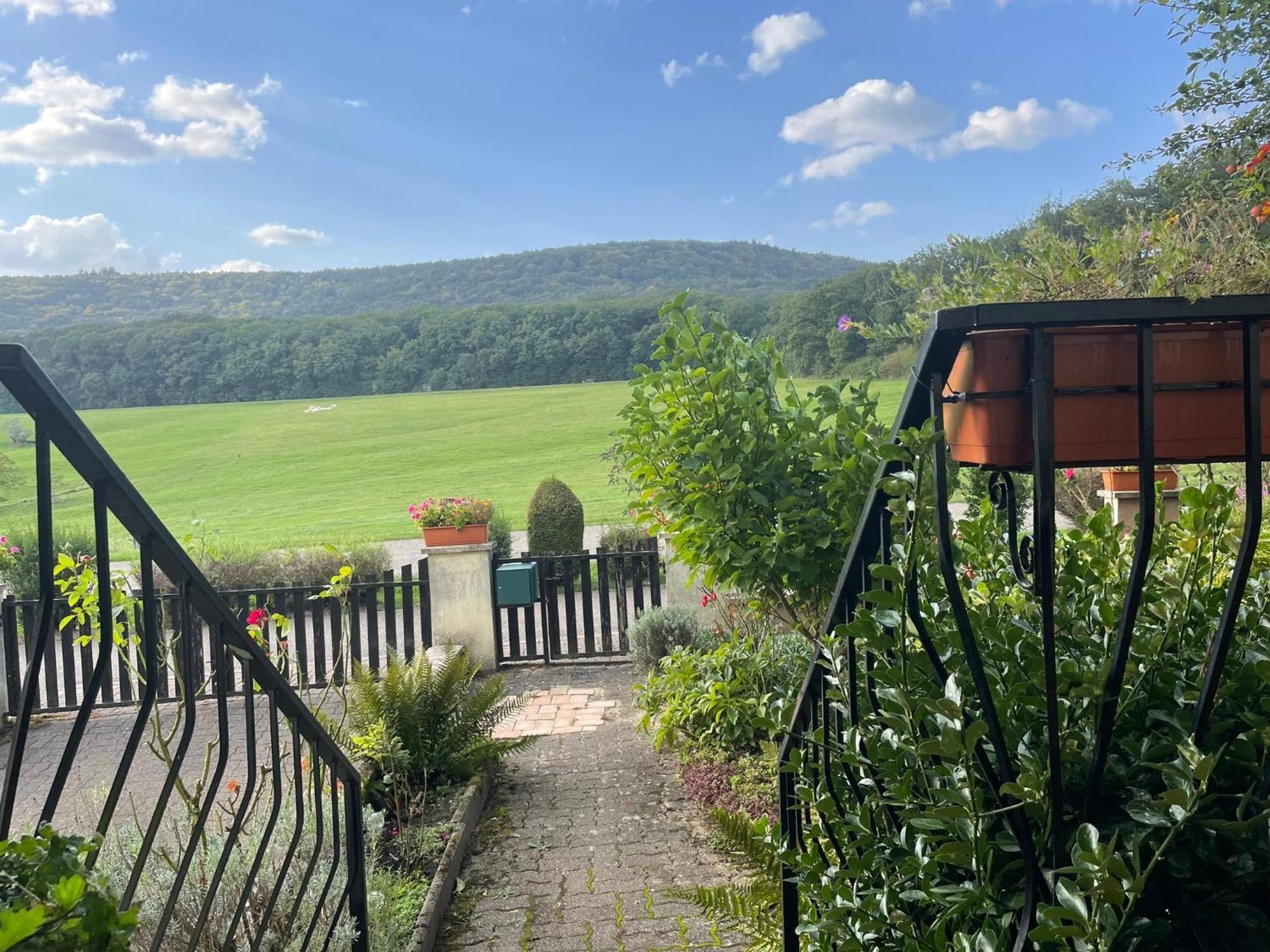 La Maison Des Roses Drachenbronn-Birlenbach Dış mekan fotoğraf