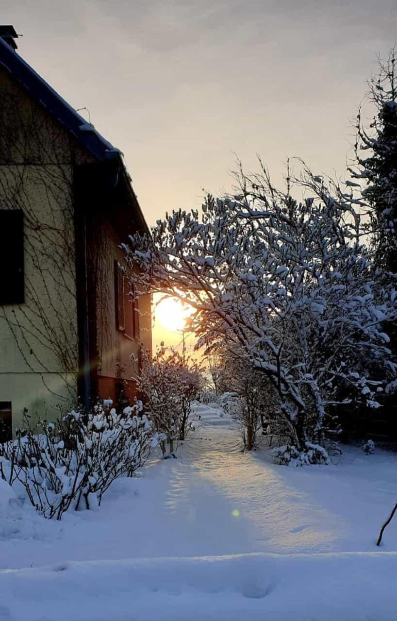 La Maison Des Roses Drachenbronn-Birlenbach Dış mekan fotoğraf